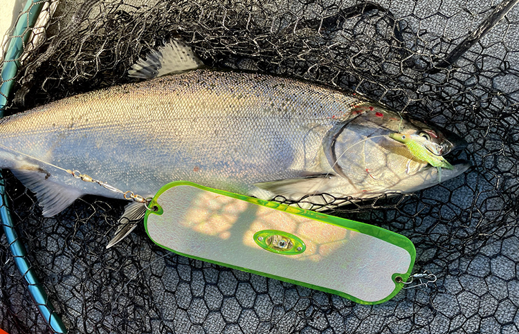 Go West For Salmon, The Sport Shows